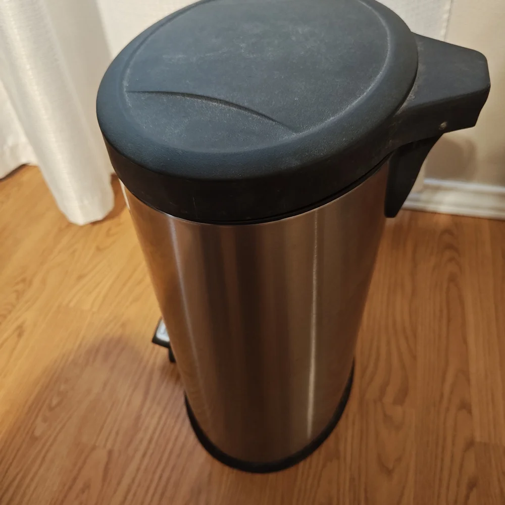 Stainless Steel Hands Free Trash Can with Black Lid